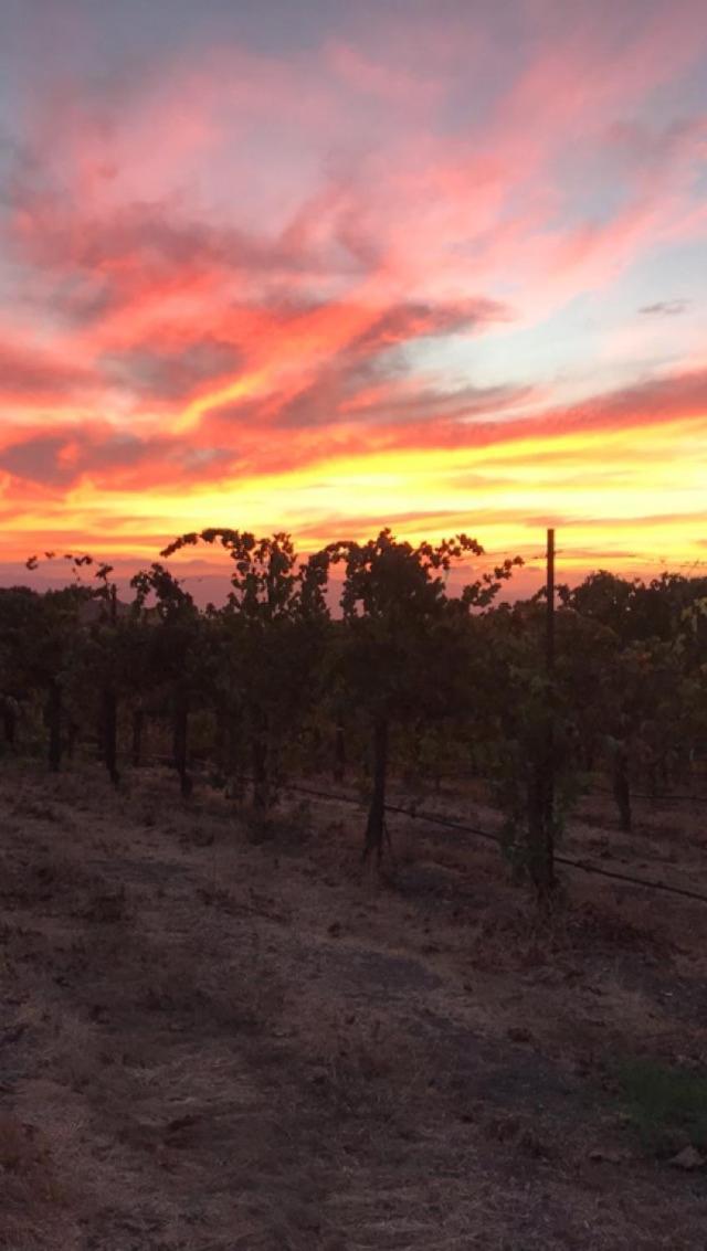 The Eden House Vineyard Hotel เทมเพิลตัน ภายนอก รูปภาพ